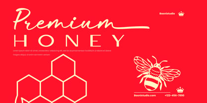 Comtic Hiden Font Poster 6