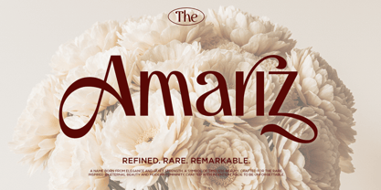 Andores Font Poster 6