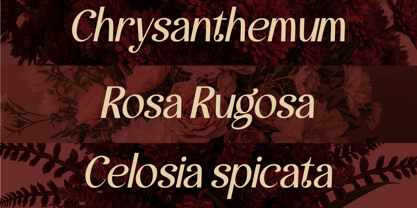 Andores Font Poster 2