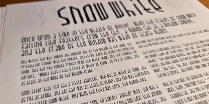 Paradox Font Poster 4