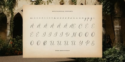 Westain Callis Font Poster 11