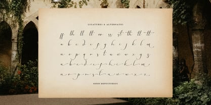 Westain Callis Font Poster 12