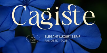 Cagiste Font Poster 1
