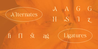 Cagiste Font Poster 3
