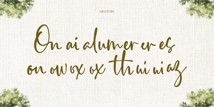 Mains Douces Font Poster 8