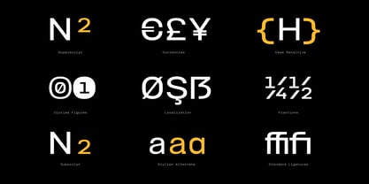 TBJ Felium Mono Font Poster 5