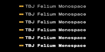 TBJ Felium Mono Font Poster 4