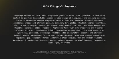 TBJ Felium Mono Font Poster 9