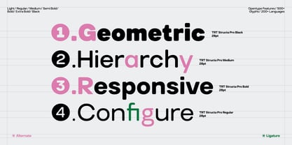 TRT Structa Pro Font Poster 7