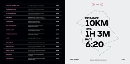 TRT Structa Pro Font Poster 8
