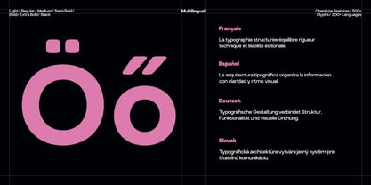 TRT Structa Pro Font Poster 15