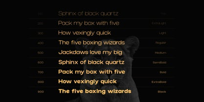 Norik Nue Font Poster 5