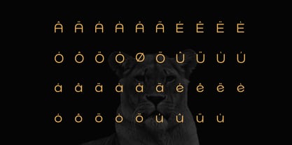 Norik Nue Font Poster 9