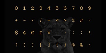 Norik Nue Font Poster 7
