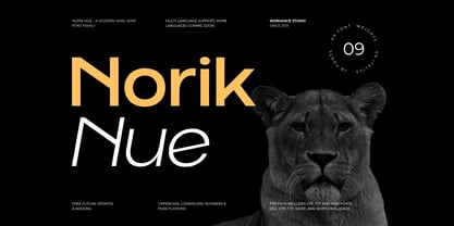 Norik Nue Font Poster 1