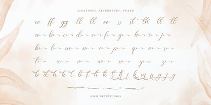 Raisahren Font Poster 12