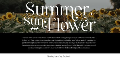Sarelyona Collection Font Poster 7