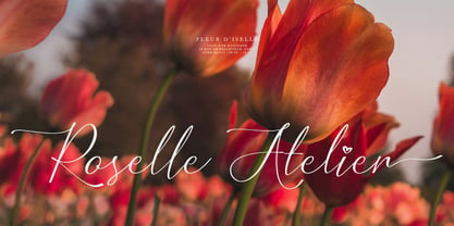 Mielssai Font Poster 4