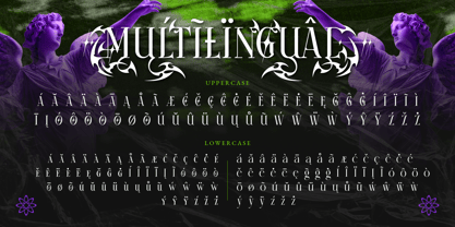 Anomale Font Poster 10