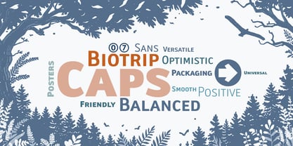 Biotrip Sans Caps Font Poster 3