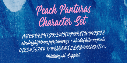 Peach Panturas Font Poster 10