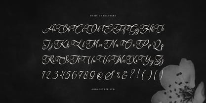 Kadegon Font Poster 10