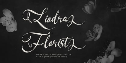 Kadegon Font Poster 3