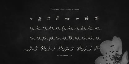 Kadegon Font Poster 12
