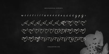 Kadegon Font Poster 11
