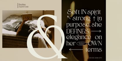 Beyline Font Poster 4