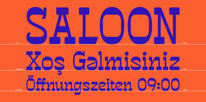 GR Rawdeo Font Poster 8