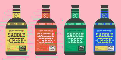 GR Rawdeo Font Poster 9