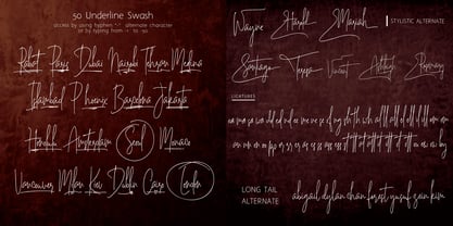 Majestic Writing Font Poster 3