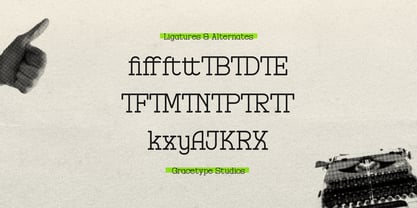 Registrar Archive Font Poster 12