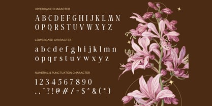 Barabella Font Poster 2