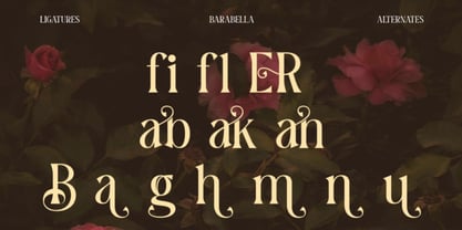 Barabella Font Poster 4