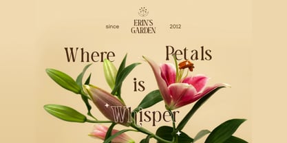 Barabella Font Poster 5