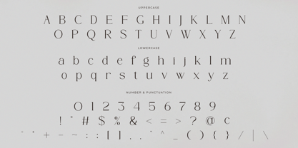 Rergian Font Poster 9