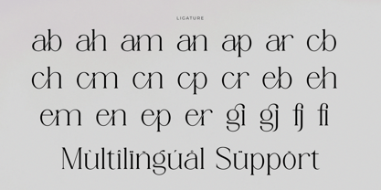 Rergian Font Poster 10