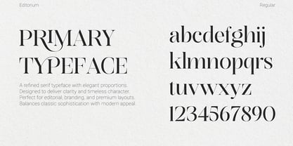Editorium Serif Font Poster 4
