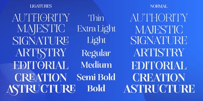 Editorium Serif Font Poster 14