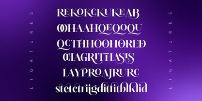 Editorium Serif Font Poster 5