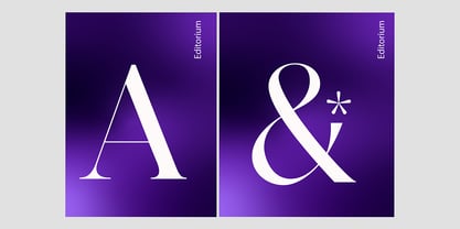 Editorium Serif Font Poster 7