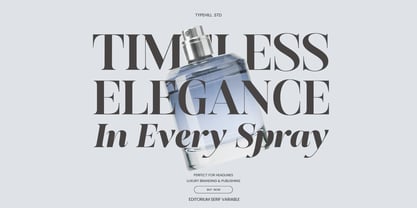 Editorium Serif Font Poster 6