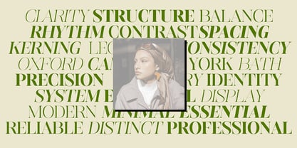 Editorium Serif Font Poster 9