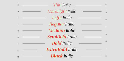 Editorium Serif Font Poster 2