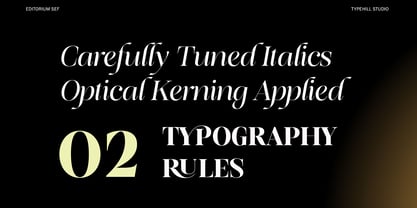 Editorium Serif Font Poster 10