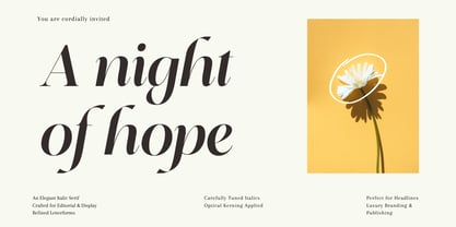 Editorium Serif Font Poster 13