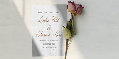 Del Lante Font Poster 4