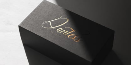 Del Lante Font Poster 7